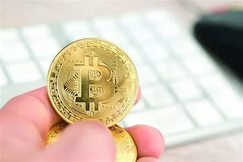 虚拟币有哪些板块