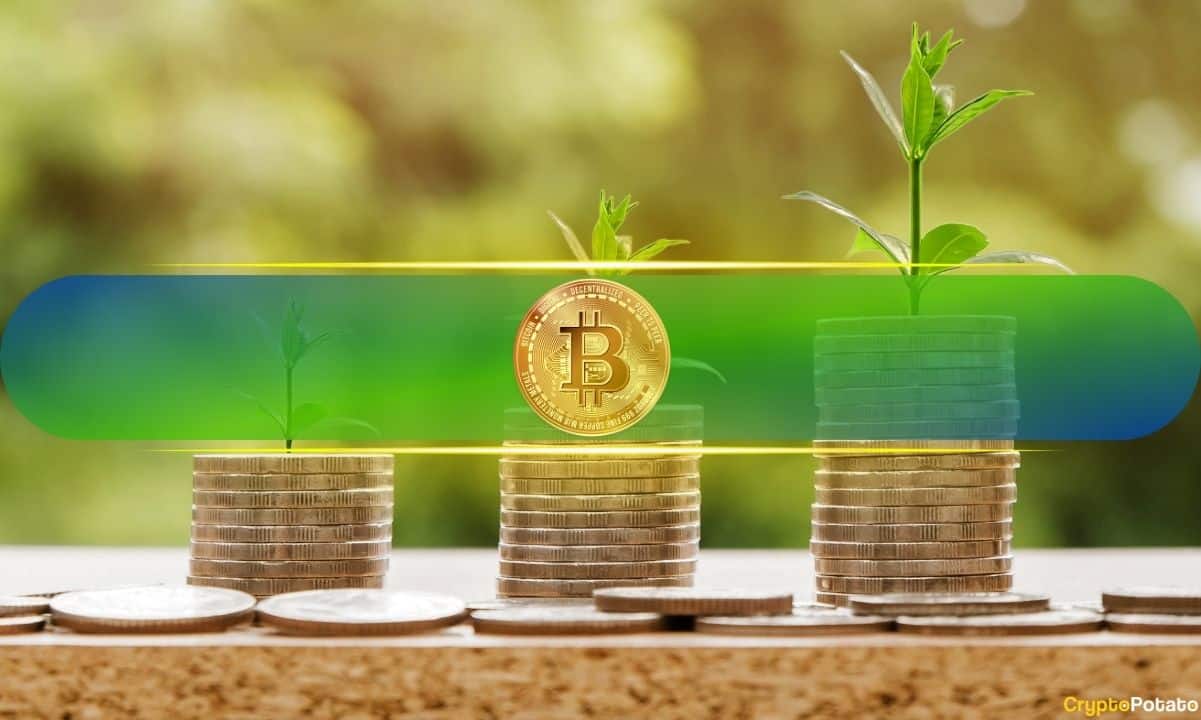 erc20网络的k豆怎么使用