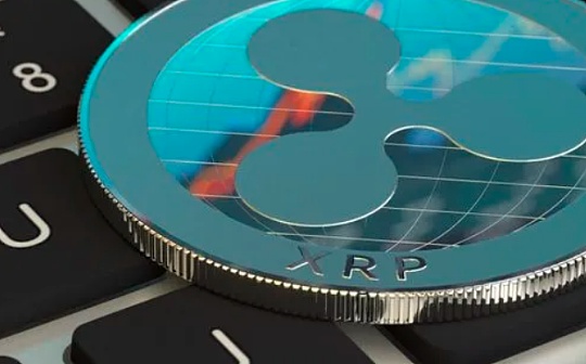 tp钱包怎么买dogmoon