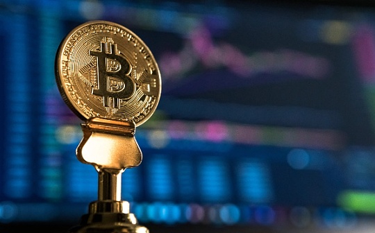 体育概念币有哪些