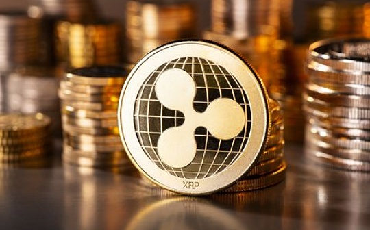 比特币代表什么动物