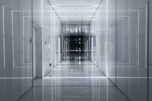 avo是什么币 avo是什么币