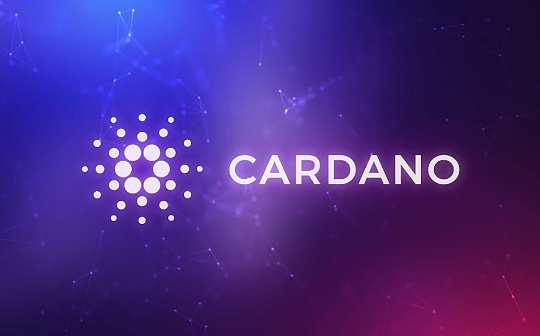 rsr币有升值空间吗