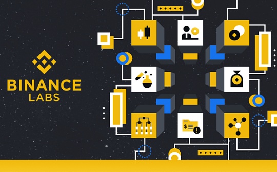 泰达币为什么会跌