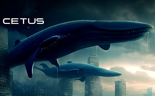 区块链中什么是节点