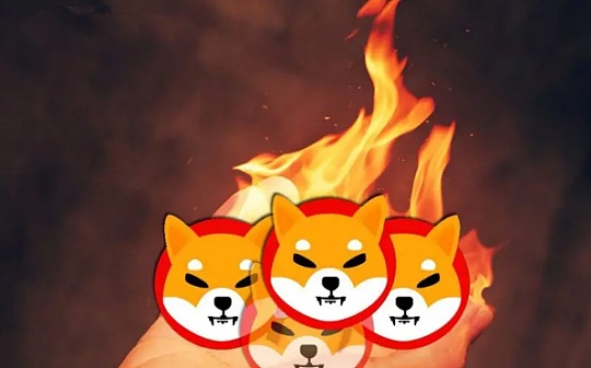 mask是哪儿的钱币 mask是哪儿的钱币
