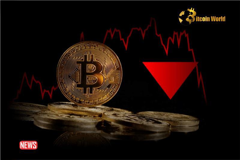 btc有多少个地址上面有币 btc有多少个地址上面有币
